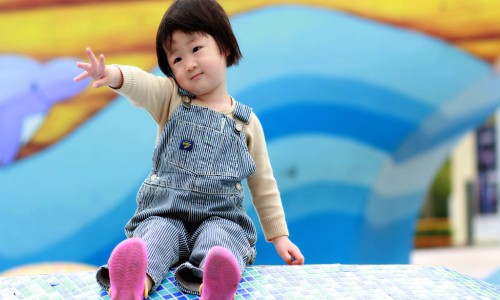 冰梨子图片和价格-冰莉子的功效网 - 冰子的功效与作用,冰厘子有何功效