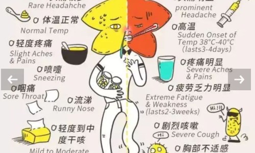 冰梨子实物图片大全-冰莉子的功效网 - 冰子的功效与作用,冰厘子有何功效